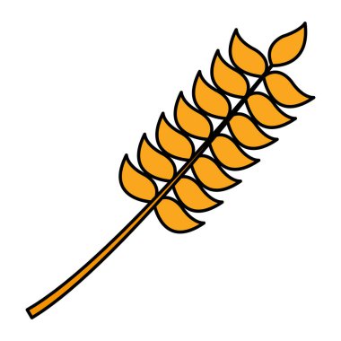 renk tarım buğday bitki ile tahıl vektör çizim bırakır.