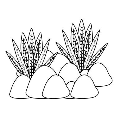 satır egzotik bitkiler doğal yaprakları ve taş ile illüstrasyon vektör