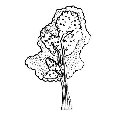 Grunge ağaç SAP egzotik yaprakları dalları vektör çizim ile