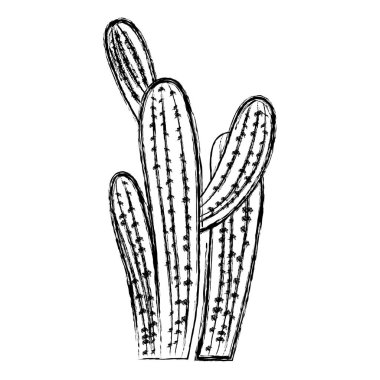 Grunge çöl doğa kaktüs bitki tasarlamak vektör
