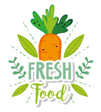 Çiftlik taze havuç ve yaprakları çizgi film illüstrasyon grafik tasarım vektör