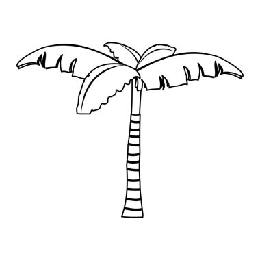 satır doğa palmiye ağaç ile tasarlamak vektör yaprak
