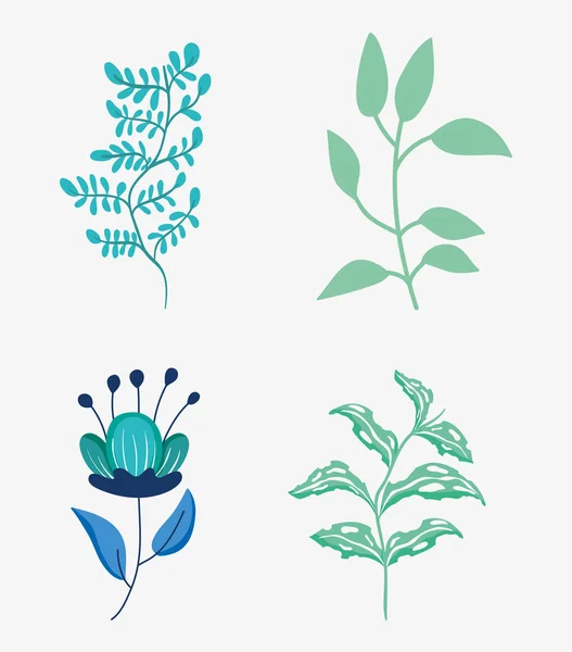 Установить Цветы Природы Лепестками Векторной Иллюстрацией Листьев Растений — стоковый вектор
