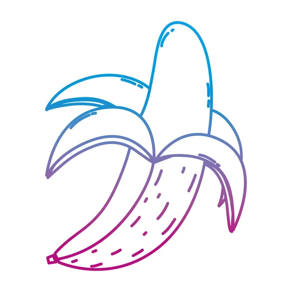 Linha Degradada Deliciosa Banana Fruta Orgânica Nutrição Vetor Ilustração —  Vetores de Stock