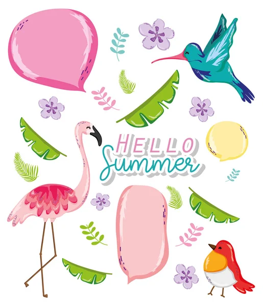 Hello Summer Card Exotic Birds Cartoons Vector Illustration Graphic Design — Stock Vector