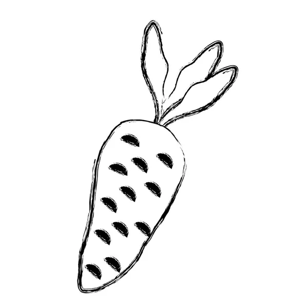 Гранж Здоровой Морковной Растительной Пищи Векторная Иллюстрация Вкуса — стоковый вектор