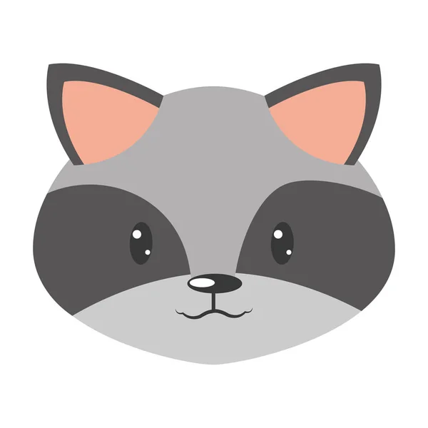Nature raccoon head wild animal — Stock Vector