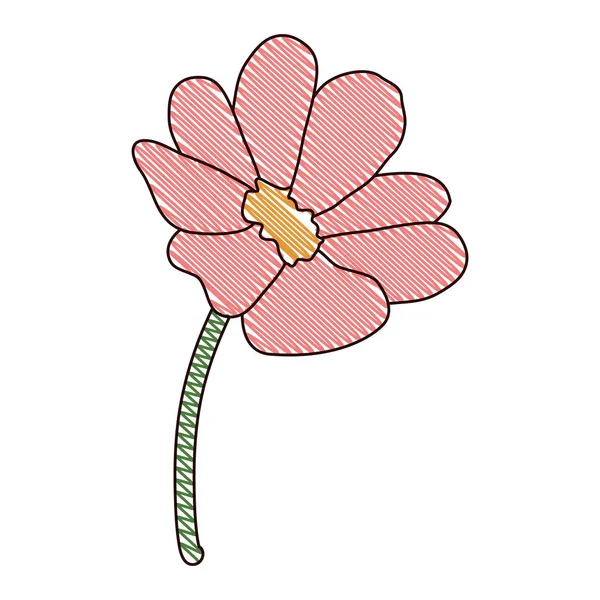 Цветы Лепестками Дизайна Листья Векторной Иллюстрации — стоковый вектор