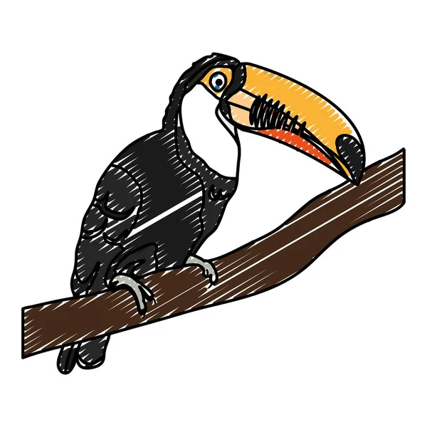 Doodle Beauté Toucan Oiseau Animal Dans Branche Vectoriel Illustration — Image vectorielle