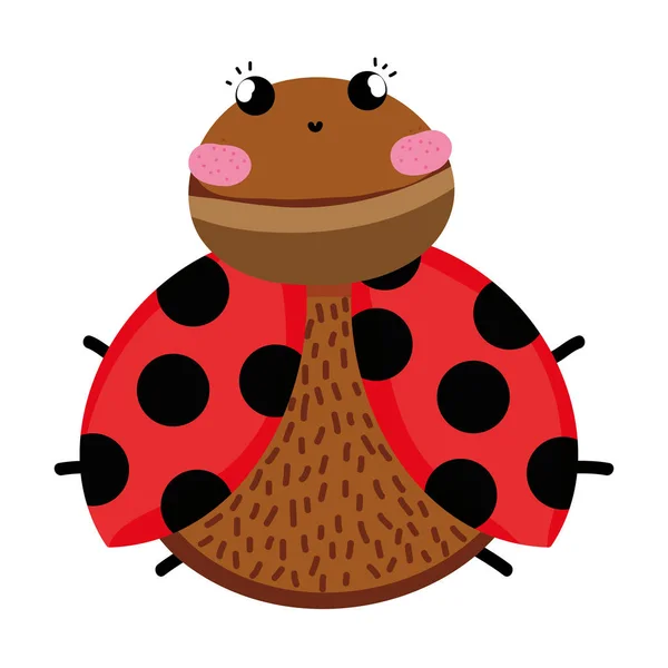 cute ladybug insect animal with wings vector illustration