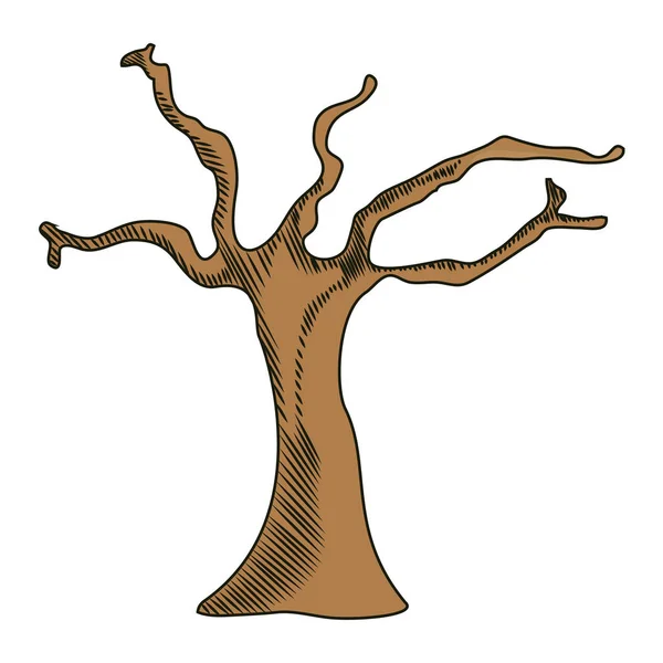 Natur Wüste Trockener Baum Mit Ästen Vektor Illustration — Stockvektor