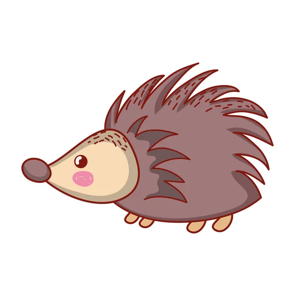Porcupine Cute Wild Animal Character Vector Illustration — Stock Vector