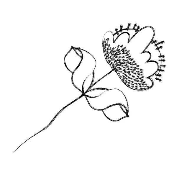 Grunge Çiçek Bitki Stil Egzotik Yaprakları Vektör Çizim Ile — Stok Vektör