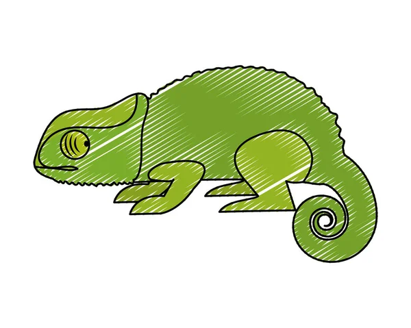 Doodle Nature Chameleon Animal Exotic Skin Vector Illustration — Stock Vector