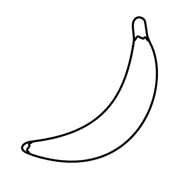 Линия Вкусный Банан Здоровых Органических Фруктов Векторной Иллюстрации — стоковый вектор
