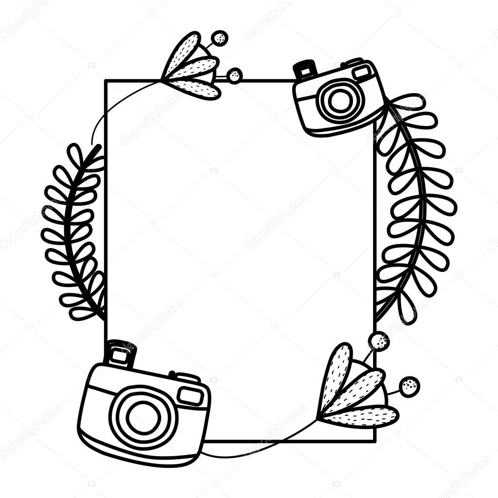 line emblem with tropical plants and camera technology vector illustration