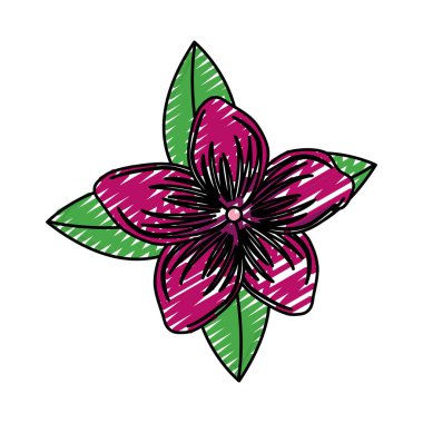 doodle yaprakları ile tropikal güzel çiçekler ve yapraklar illüstrasyon vektör