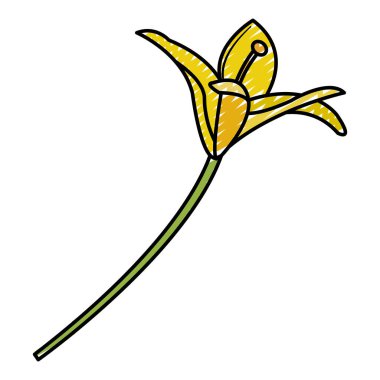 Doodle doğal çiçek bitki güzellik yaprakları vektör çizim ile