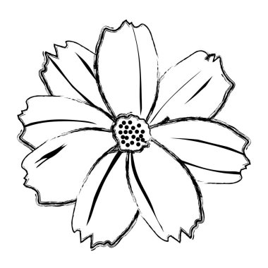 Grunge bahar doğal çiçek güzel yaprakları vektör çizim ile