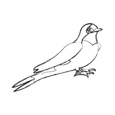 kanatları ve bacaklar ile grunge güzellik kuş hayvan illüstrasyon vektör