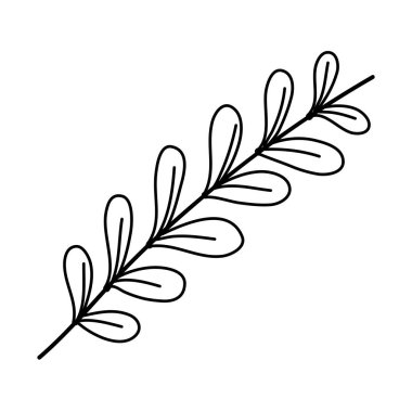 Stil bitki vektör çizim satırı doğa şube bırakır