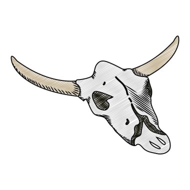 Doğa buffalo çöl ölü kafatası vektör çizim doodle