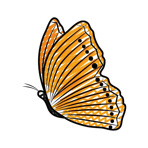 Gribouille Beauté Papillon Insecte Animal Volant Vecteur Illustration — Image vectorielle