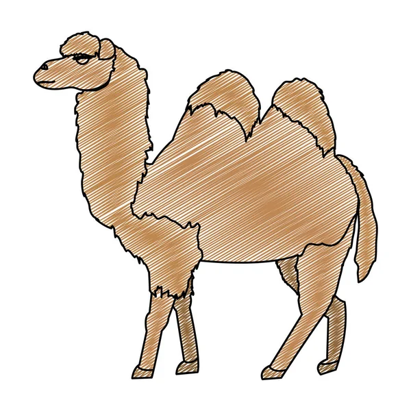 Doodle Lindo Naturaleza Camello Desierto Animal Vector Ilustración — Archivo Imágenes Vectoriales