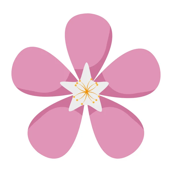 Εξωτικό Λουλούδι Φύση Πέταλα Όμορφη Εικονογράφηση Διάνυσμα — Διανυσματικό Αρχείο