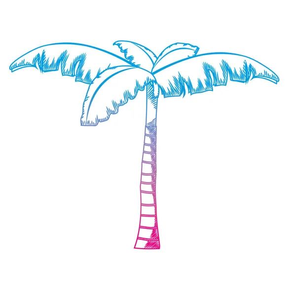 Linea Degradata Palma Tropicale Con Disegno Naturale Vettoriale Illustrazione — Vettoriale Stock