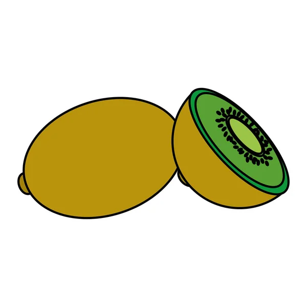 Farbe Köstlich Scheibe Kiwi Bio Obst Vektor Illustration — Stockvektor