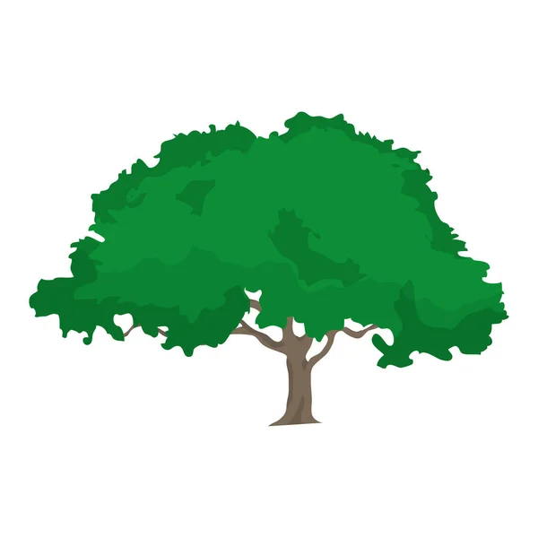 Натуральне Дерево Стеблом Гілками Листя Векторні Ілюстрації — стоковий вектор