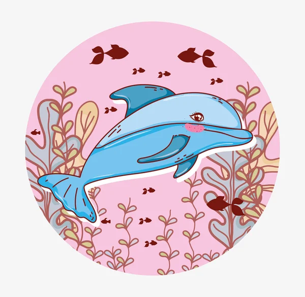 underwater sea animals ecosystem vector illustration graphic design