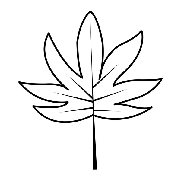 エキゾチックでライン自然な枝の葉ベクター イラスト — ストックベクタ