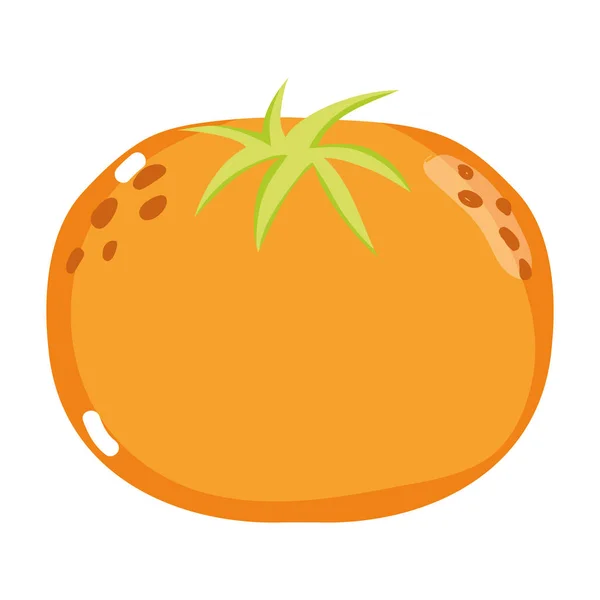 Векторная Иллюстрация Свежих Апельсиновых Фруктов — стоковый вектор
