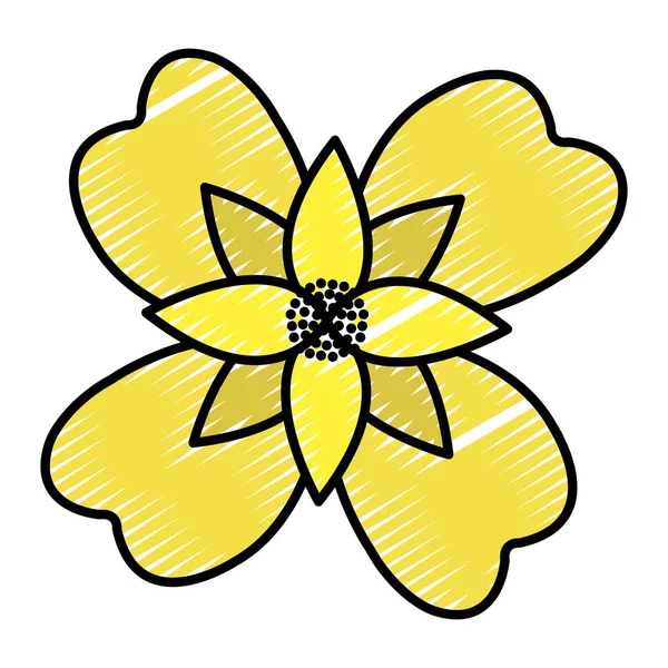 Doodle Natürliche Blume Mit Schönen Blütenblättern Design Vektor Illustration — Stockvektor