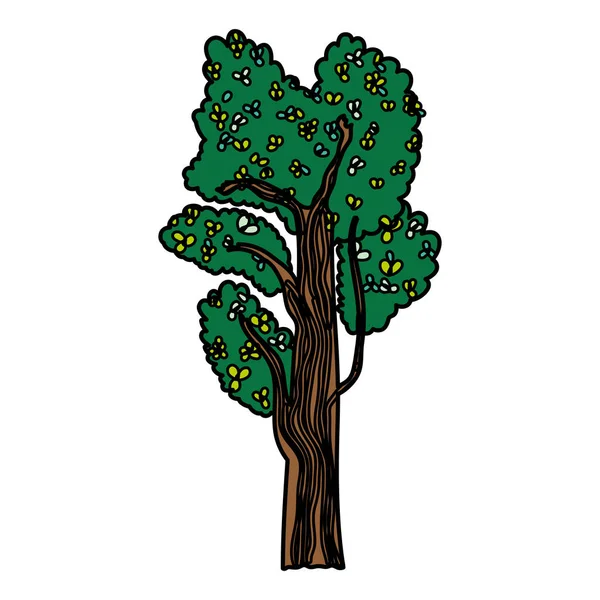 Color Árbol Exótico Con Hojas Estilo Ramas Vector Ilustración — Vector de stock