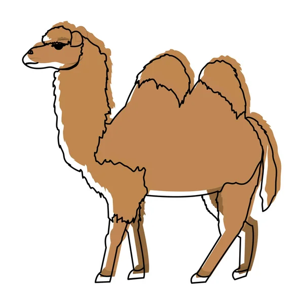 Movido Cor Bonito Natureza Camelo Deserto Animal Vetor Ilustração — Vetor de Stock