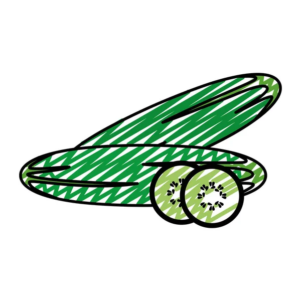 Doodle Biologische Komkommer Plantaardige Natuurvoeding Vectorillustratie — Stockvector