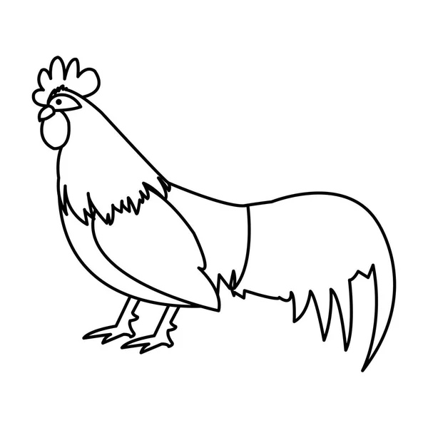 Línea Gallo Granja Animal Con Plumas Alas Vector Ilustración — Vector de stock