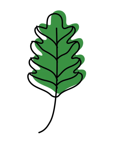 Kleur Boerenkool Blad Tropische Natuur Plant Vectorillustratie Verplaatst — Stockvector