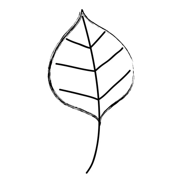 Grunge Schöne Natur Blatt Stil Der Pflanze Vektor Illustration — Stockvektor