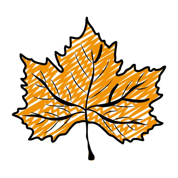 Doodle Natural Leaf Exotic Autumn Weather Vector Illustration — Stock Vector