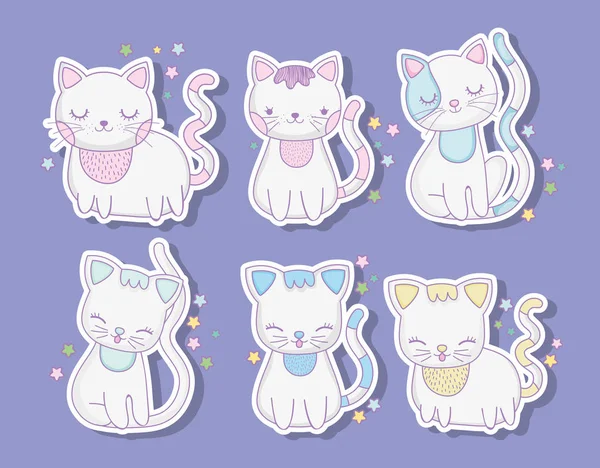 Conjunto Bonito Gatos Animais Com Bigodes Vetor Ilustração —  Vetores de Stock