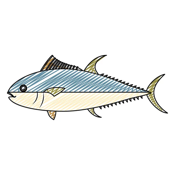 Vektör Çizim Hazırlanan Balık Sağlıklı Deniz Ürünleri Doodle — Stok Vektör