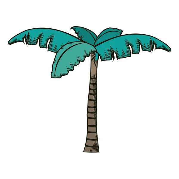 Palmeira Tropical Com Desenho Natural Ilustração Vetorial —  Vetores de Stock