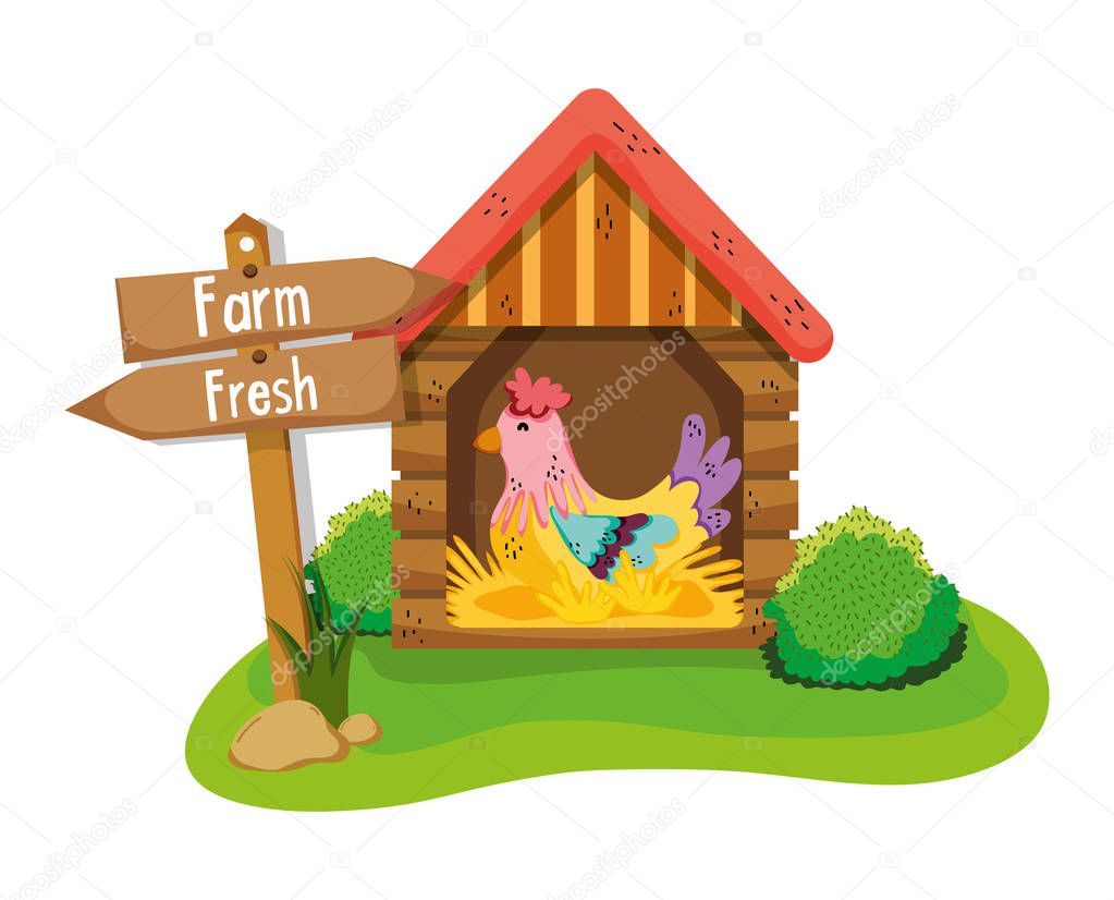 Cute farm fresh cartoons with chicken wooden house vector illustration graphic design