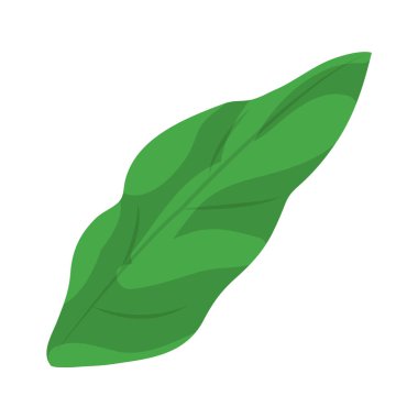 şirin doğa tropikal yaprak tasarlamak vektör