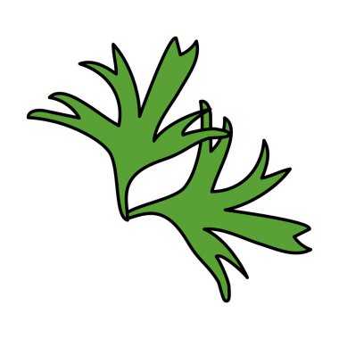 renk sağlıklı bitki doğa tıp bitki vektör çizim