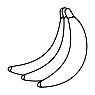 satır organik muz lezzetli organik meyve vektör çizim